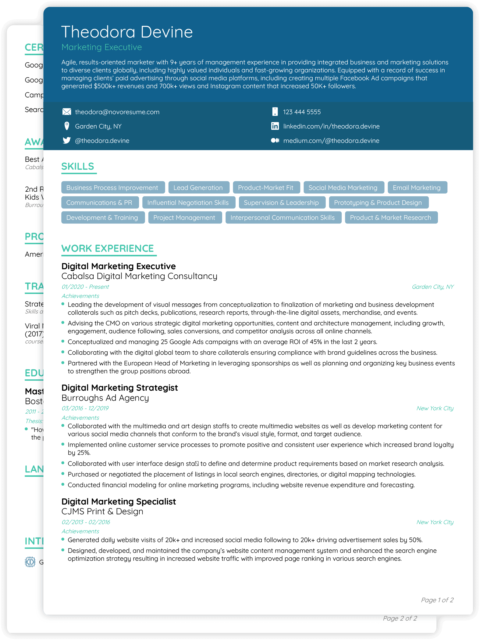 Sample Professional Cv Template