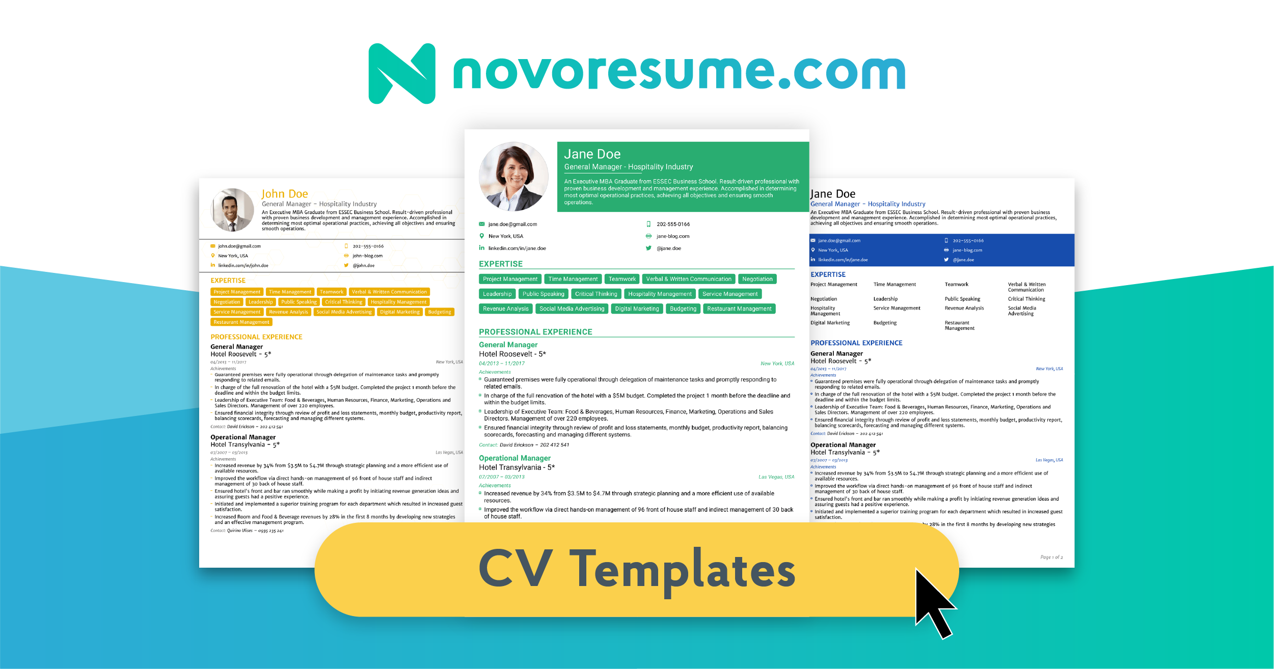 8 Job Winning Cv Templates Curriculum Vitae For 2021