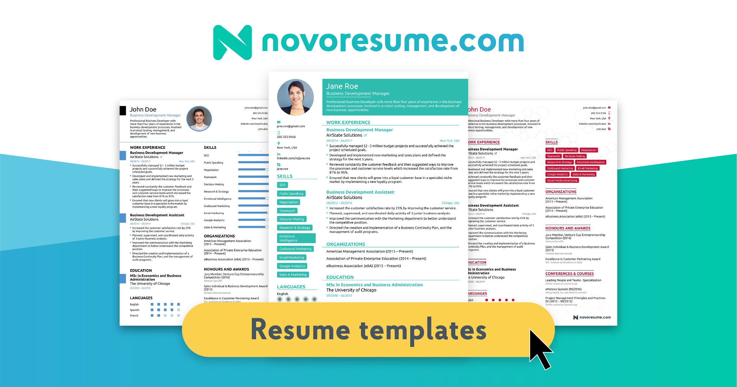 Professional Resume Design from novoresume.com