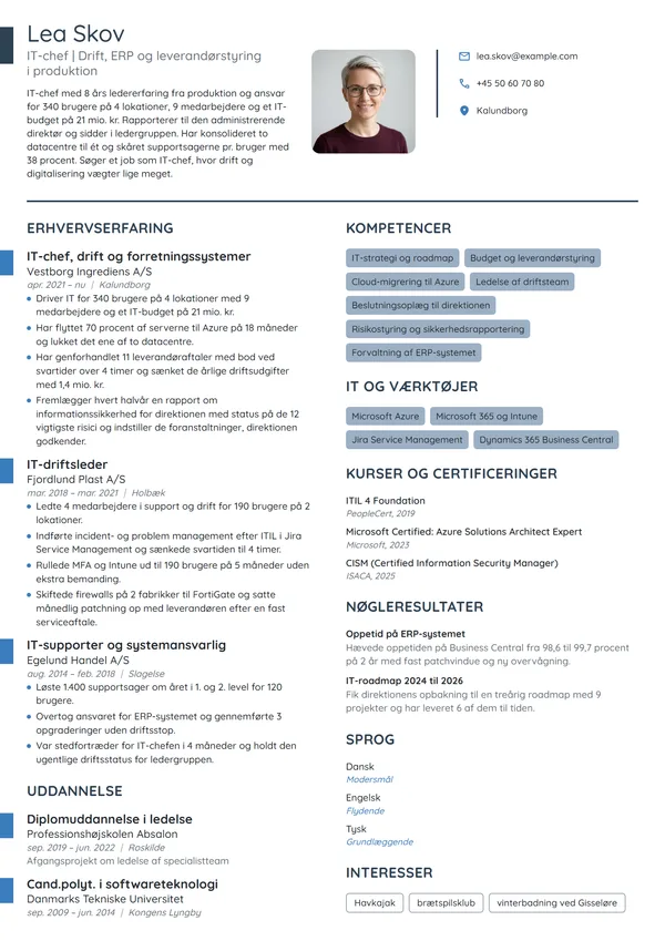 CV-eksempel til IT-chef i produktion med 340 brugere