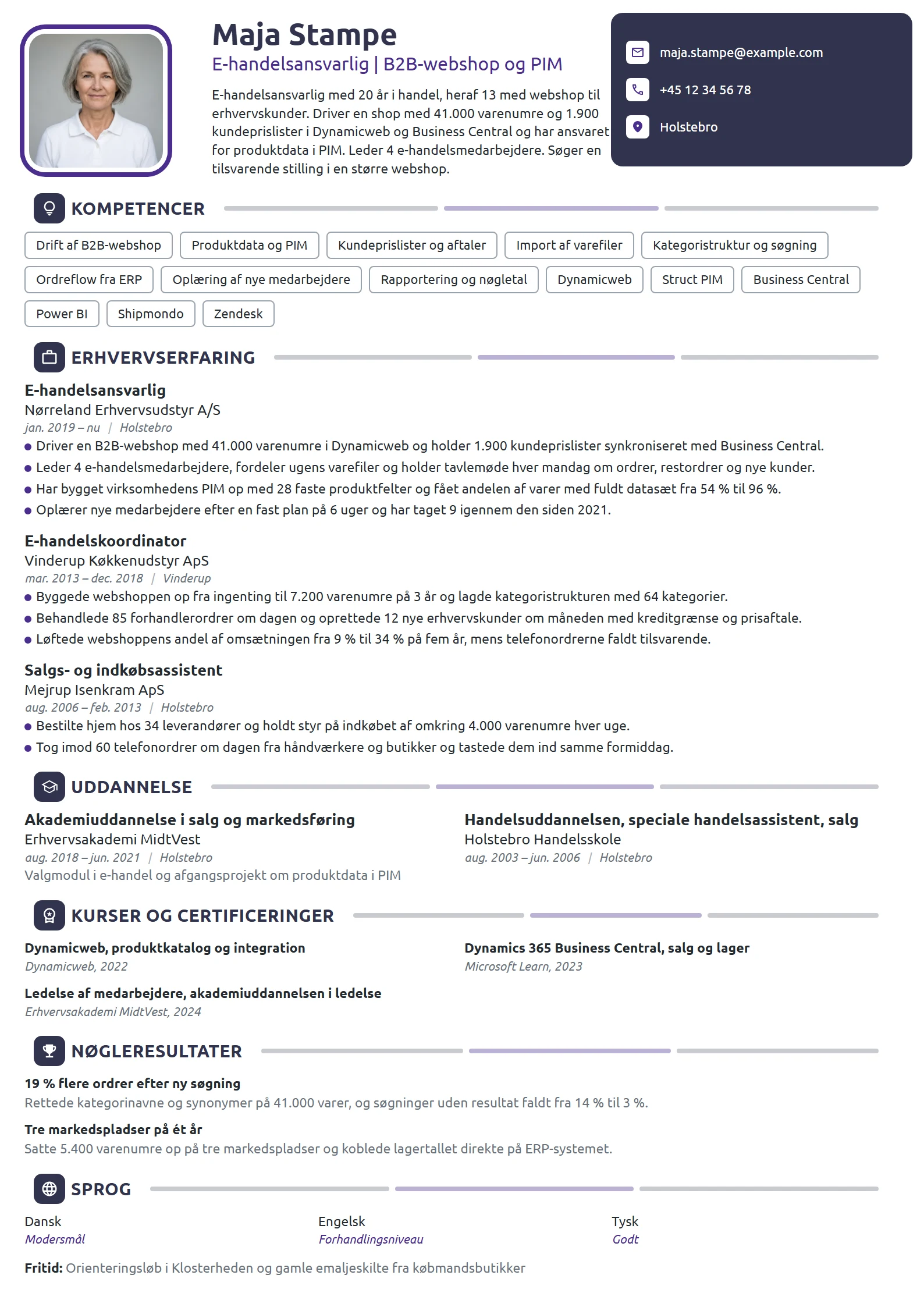 CV-eksempel til e-handelsansvarlig i B2B-webshop