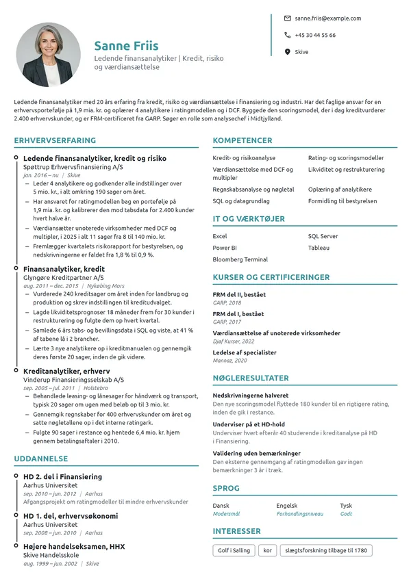 CV-eksempel til ledende analytiker, kredit og risiko