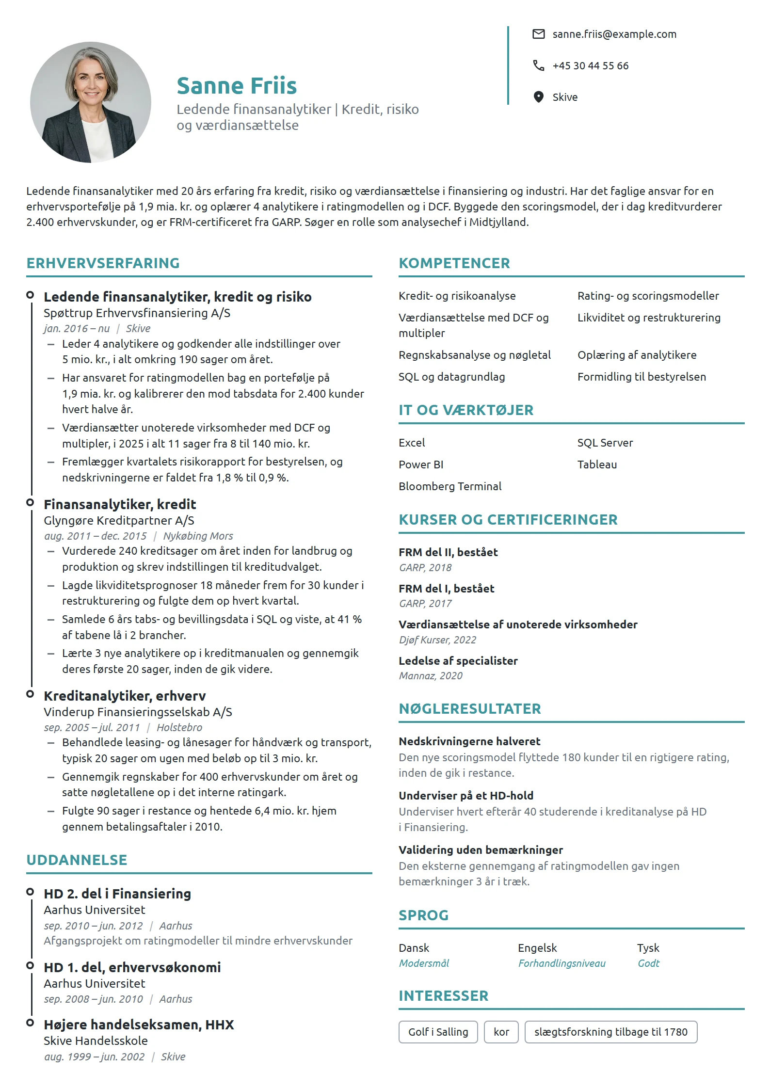 CV-eksempel til ledende analytiker, kredit og risiko