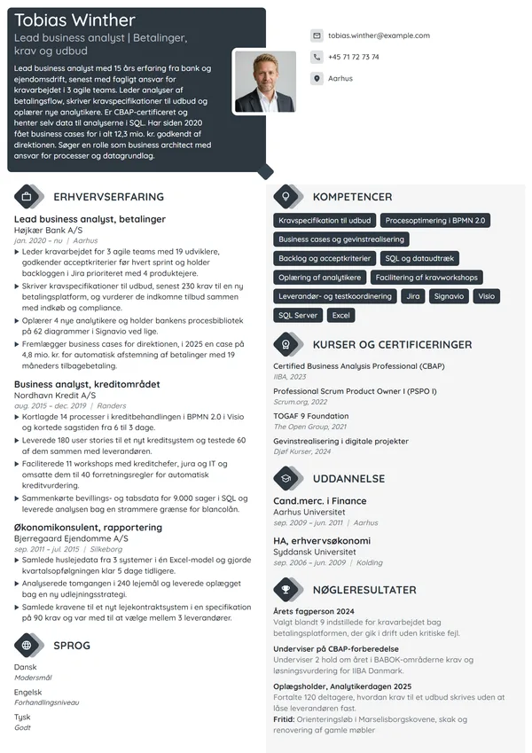 CV-eksempel til lead business analyst i finans