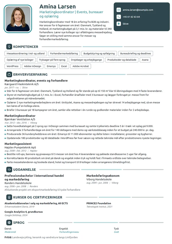 CV-eksempel til senior koordinator med teamansvar