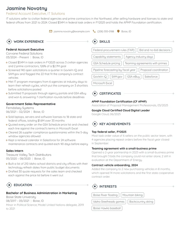 Federal Account Executive resume example
