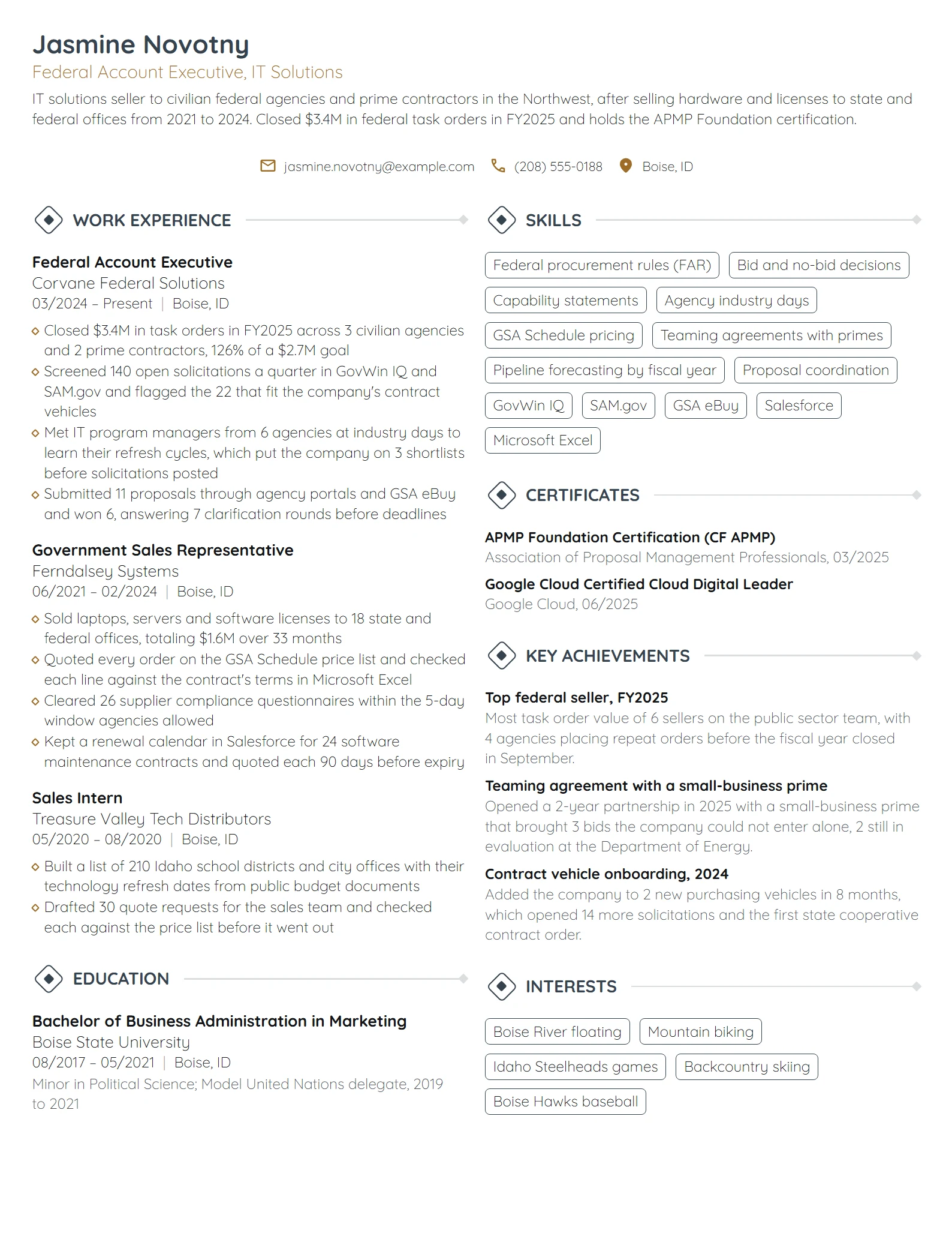 Federal Account Executive resume example