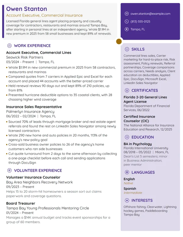 Insurance Account Executive resume example