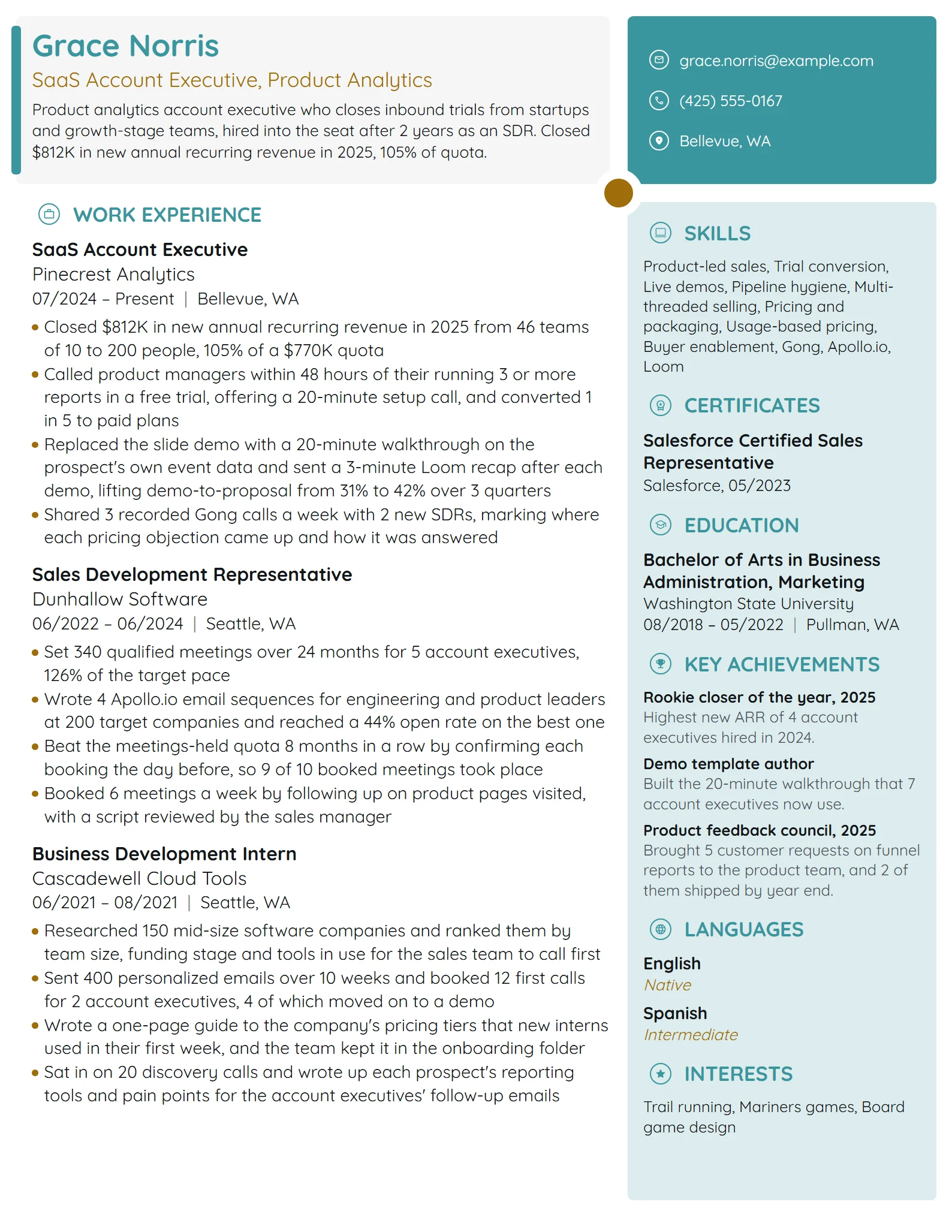 SaaS Account Executive resume example