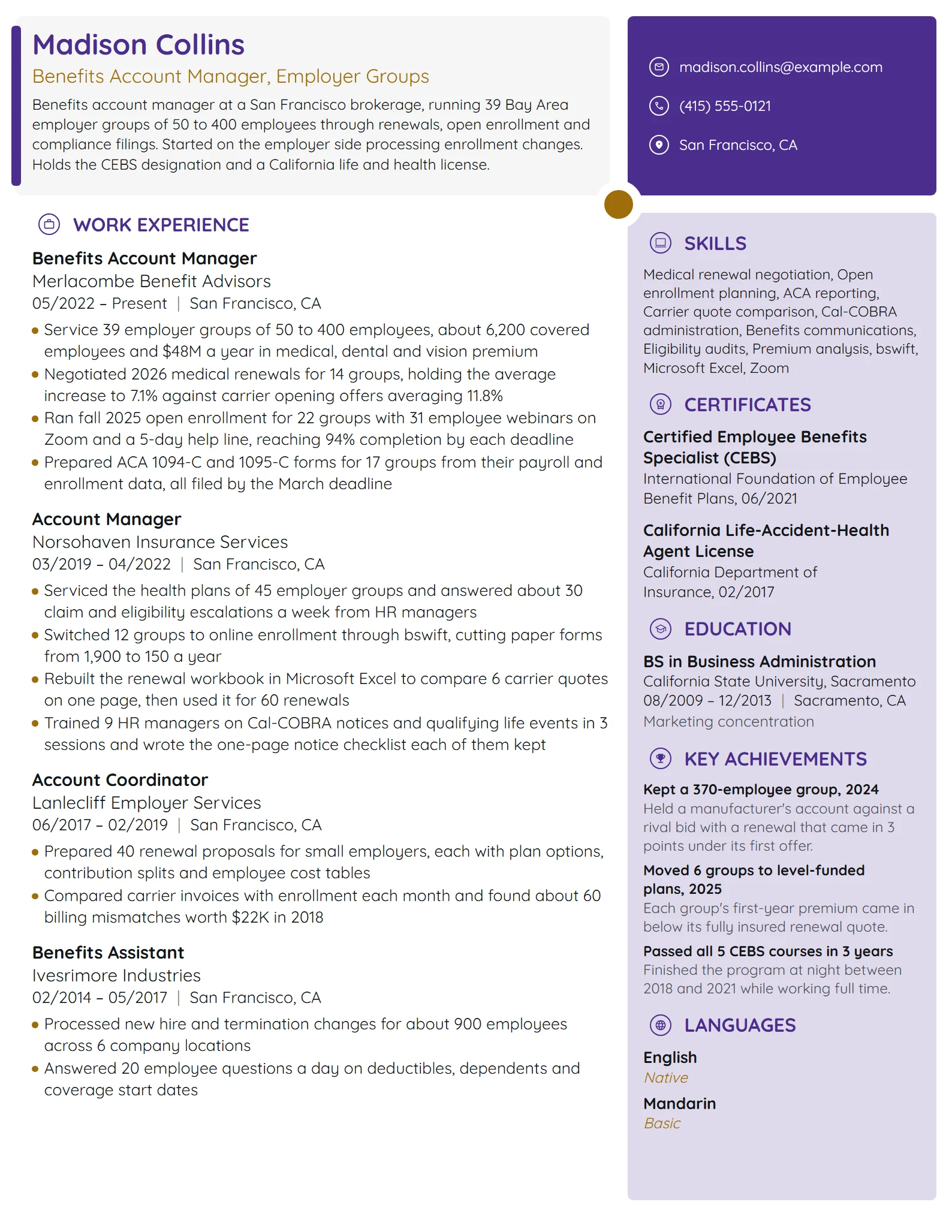 Benefits Account Manager resume example