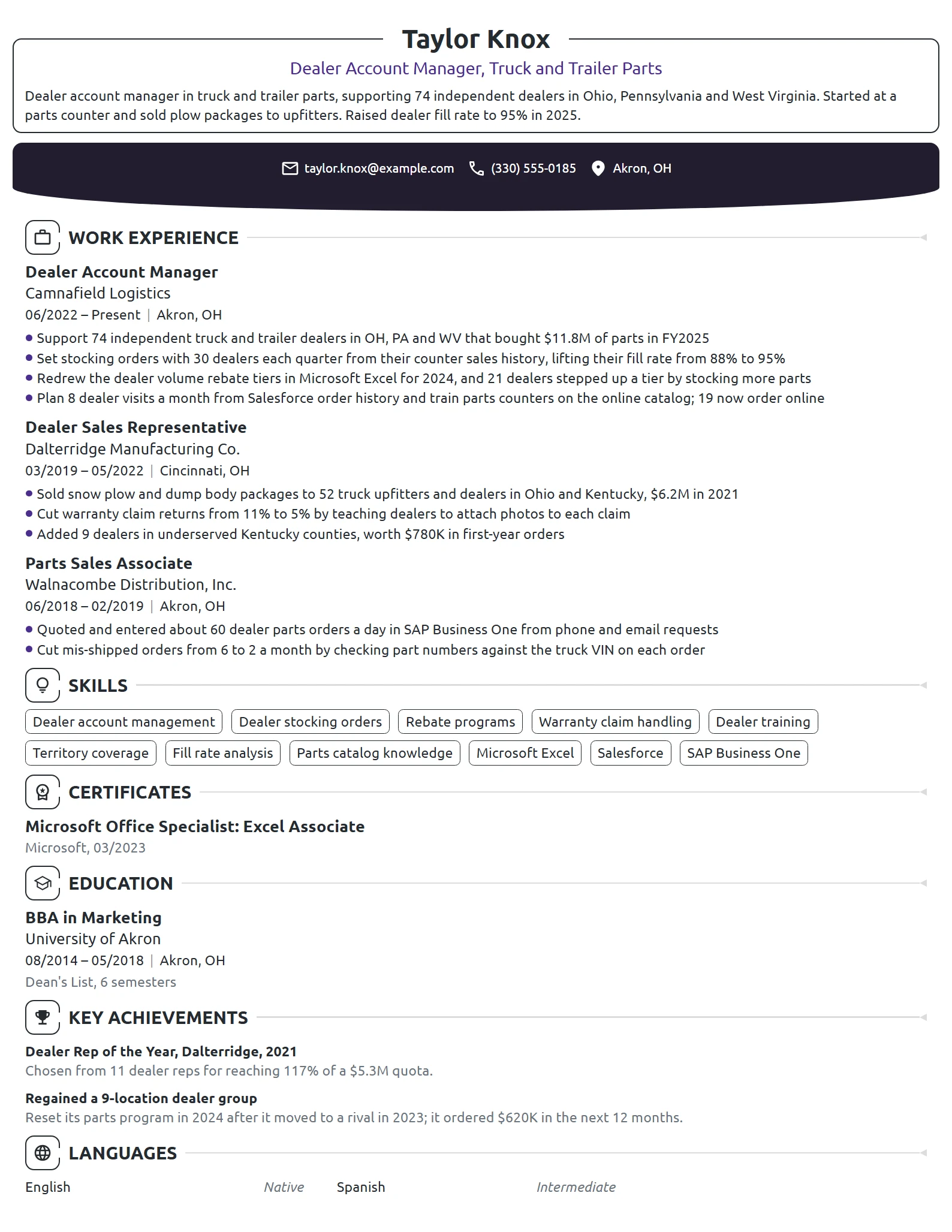 Dealer Account Manager resume example