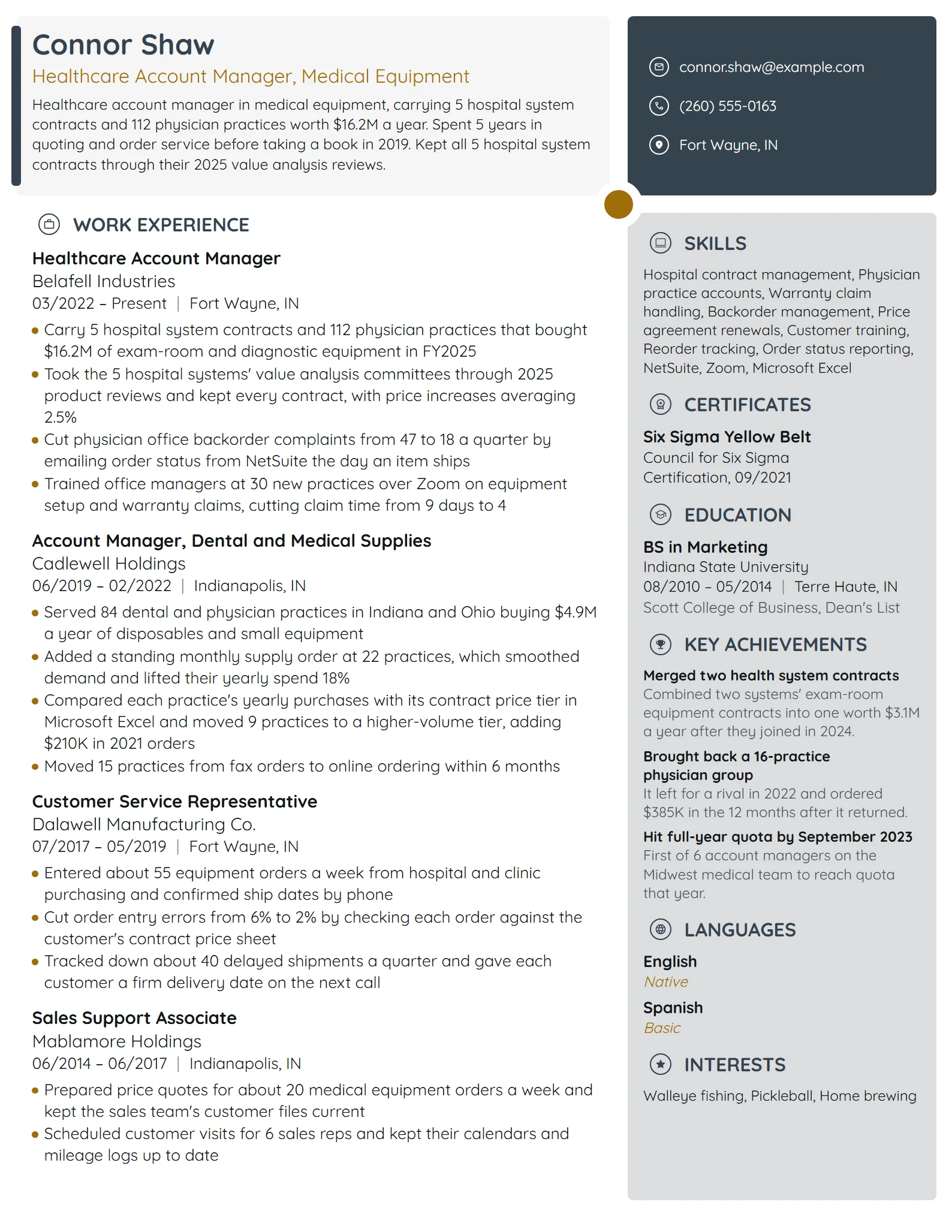 Healthcare Account Manager resume example