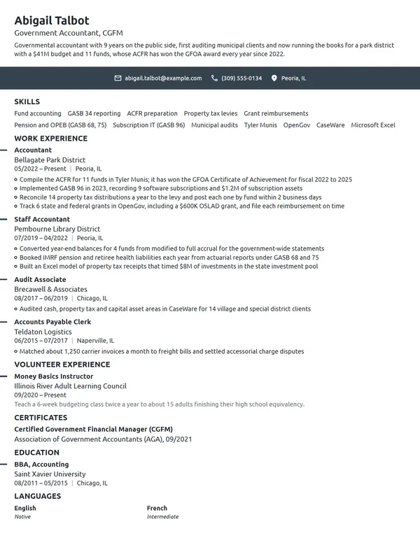 Government Accountant resume example