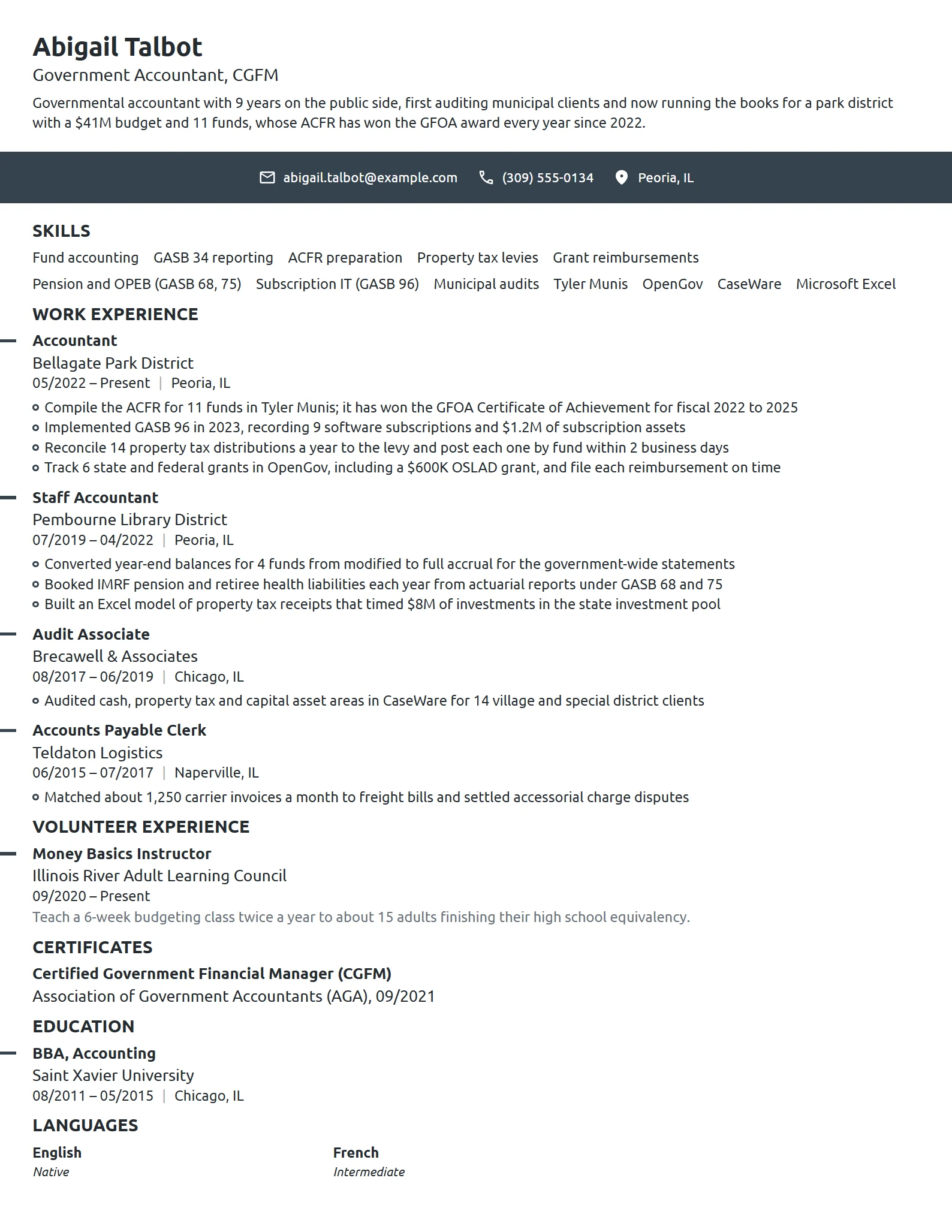 Government Accountant resume example