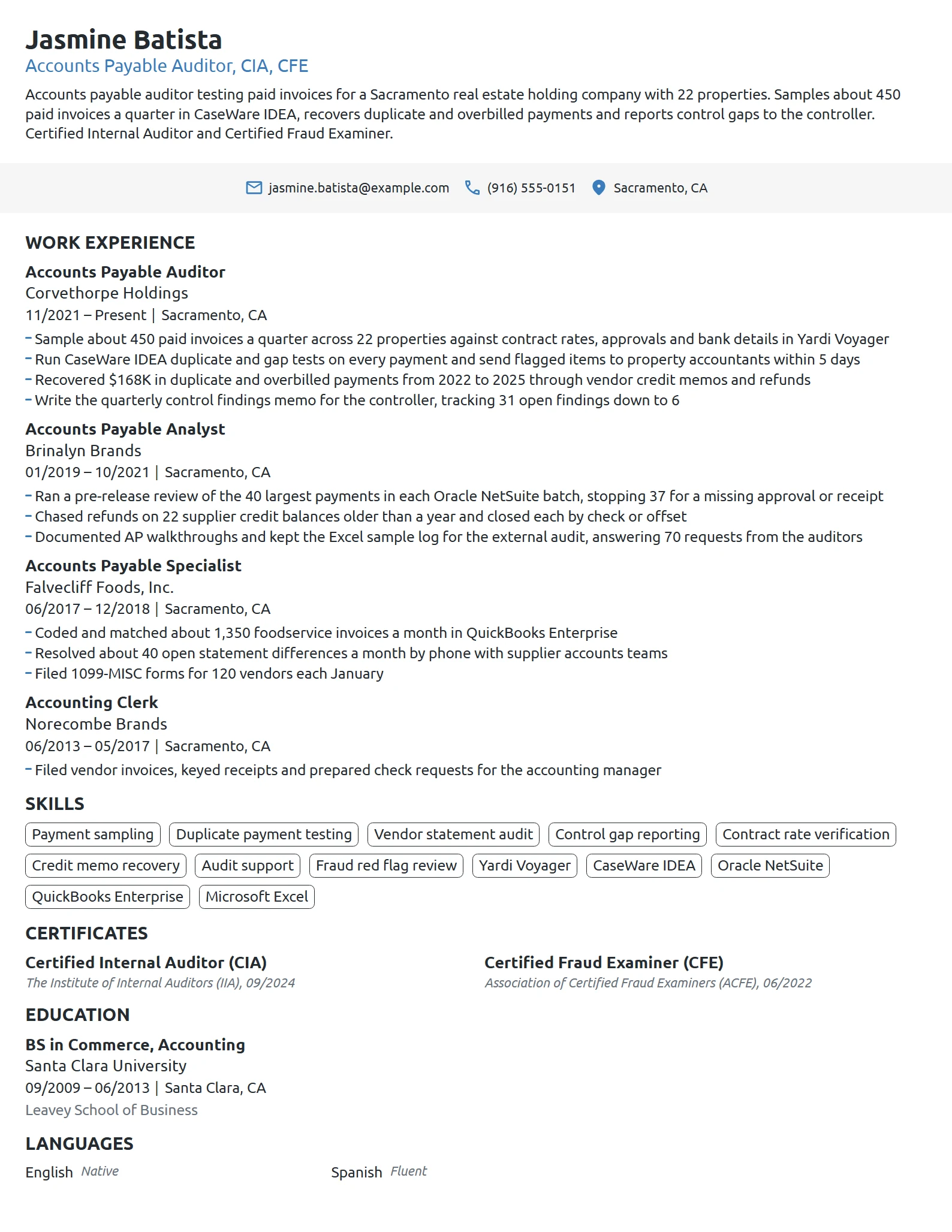 Accounts Payable Auditor resume example