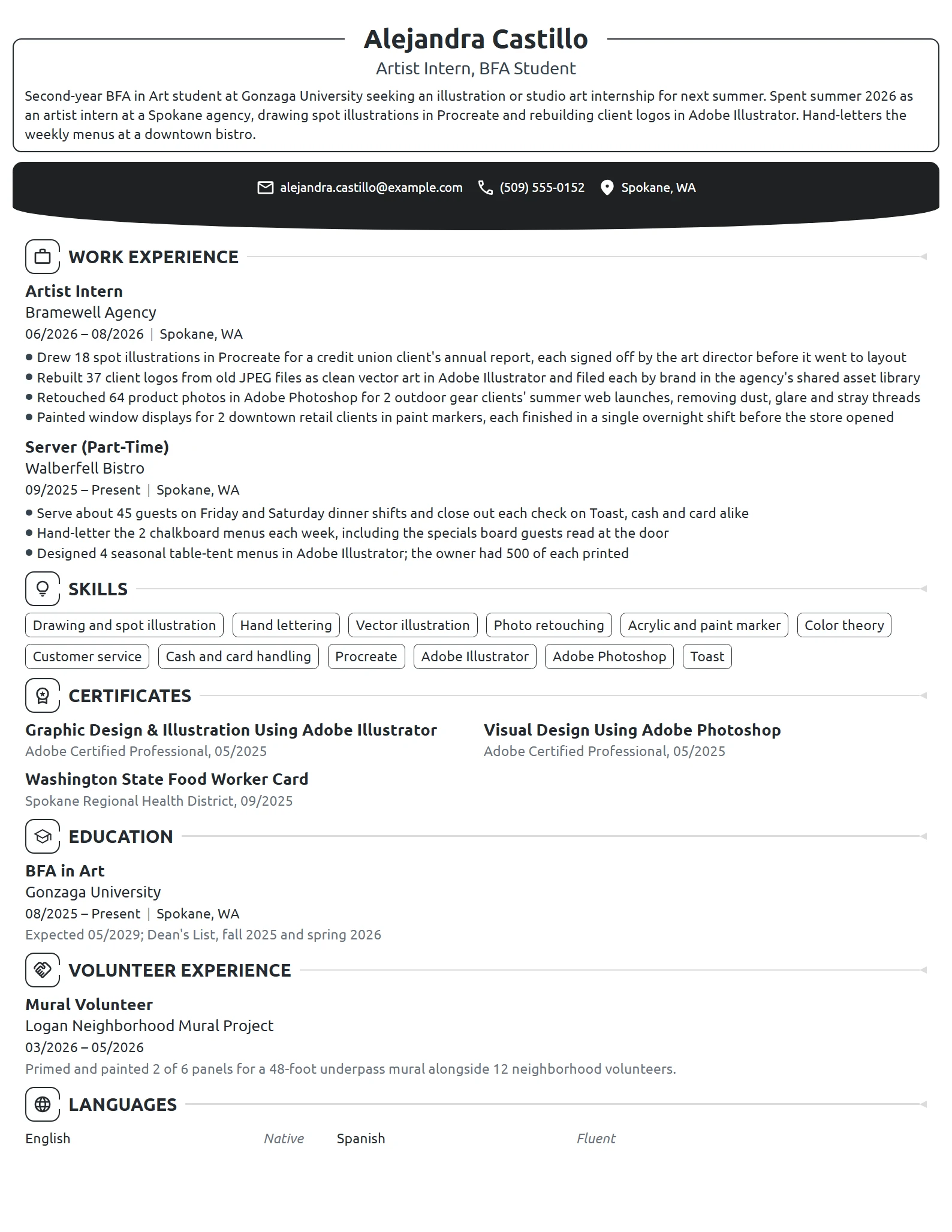 Artist Intern resume example