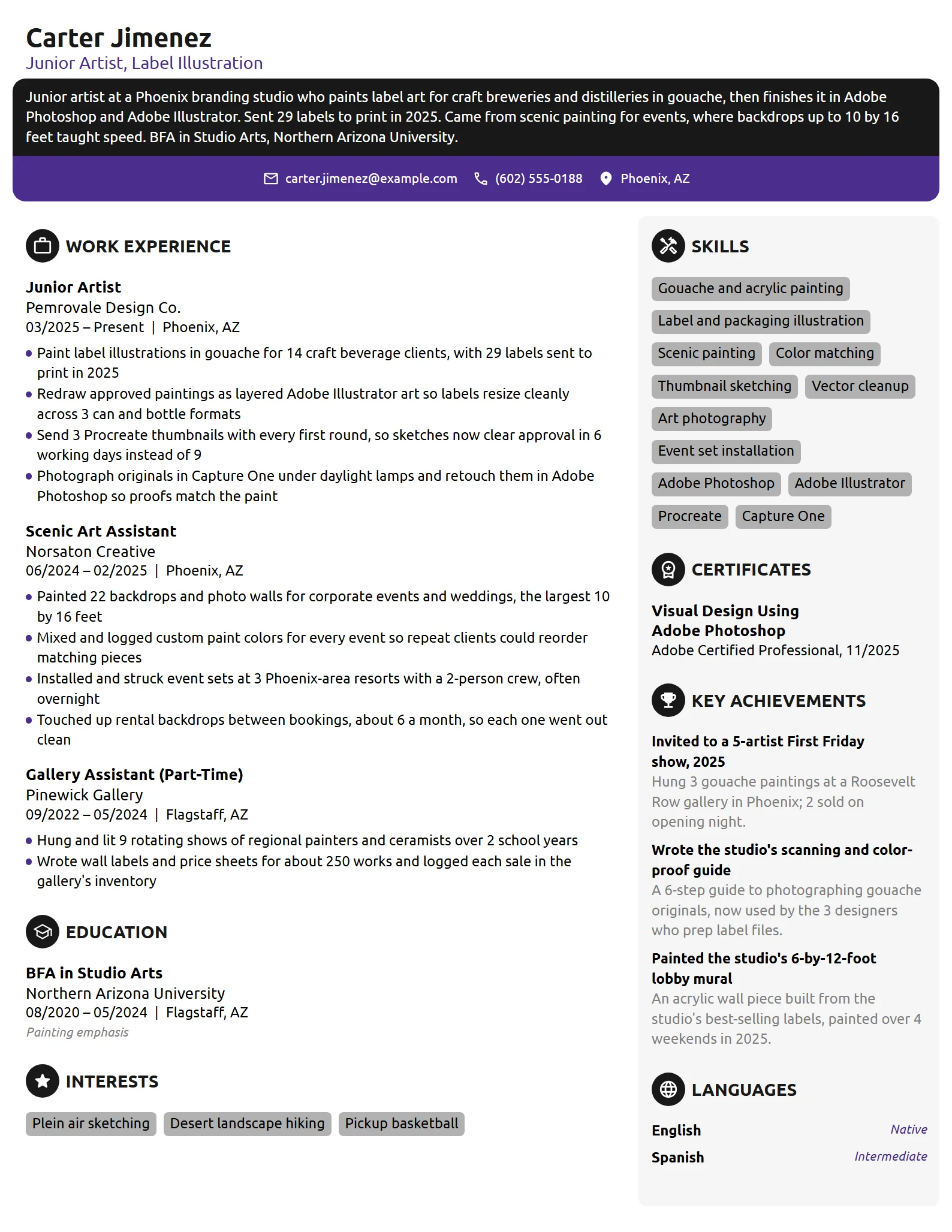 Junior Artist resume example
