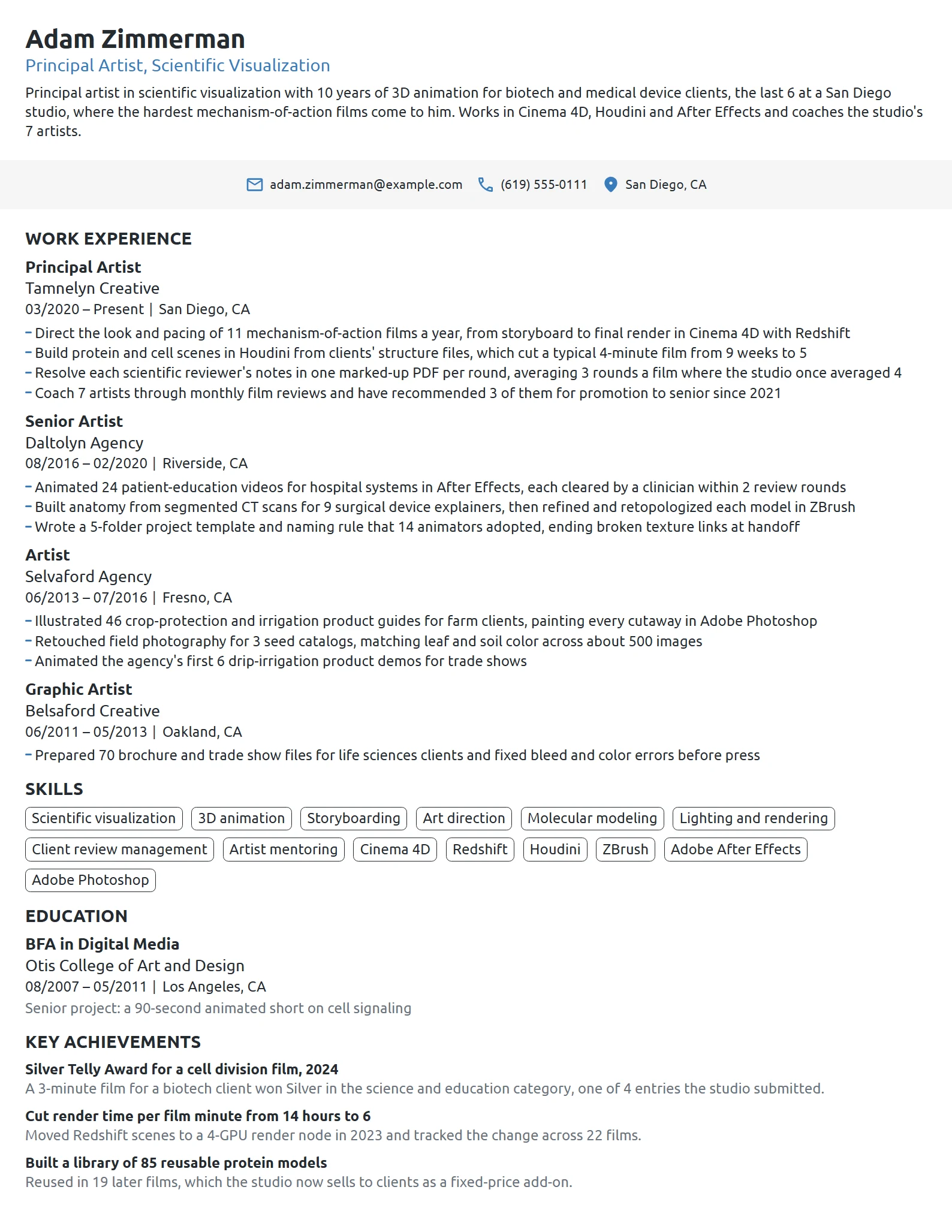 Principal Artist resume example