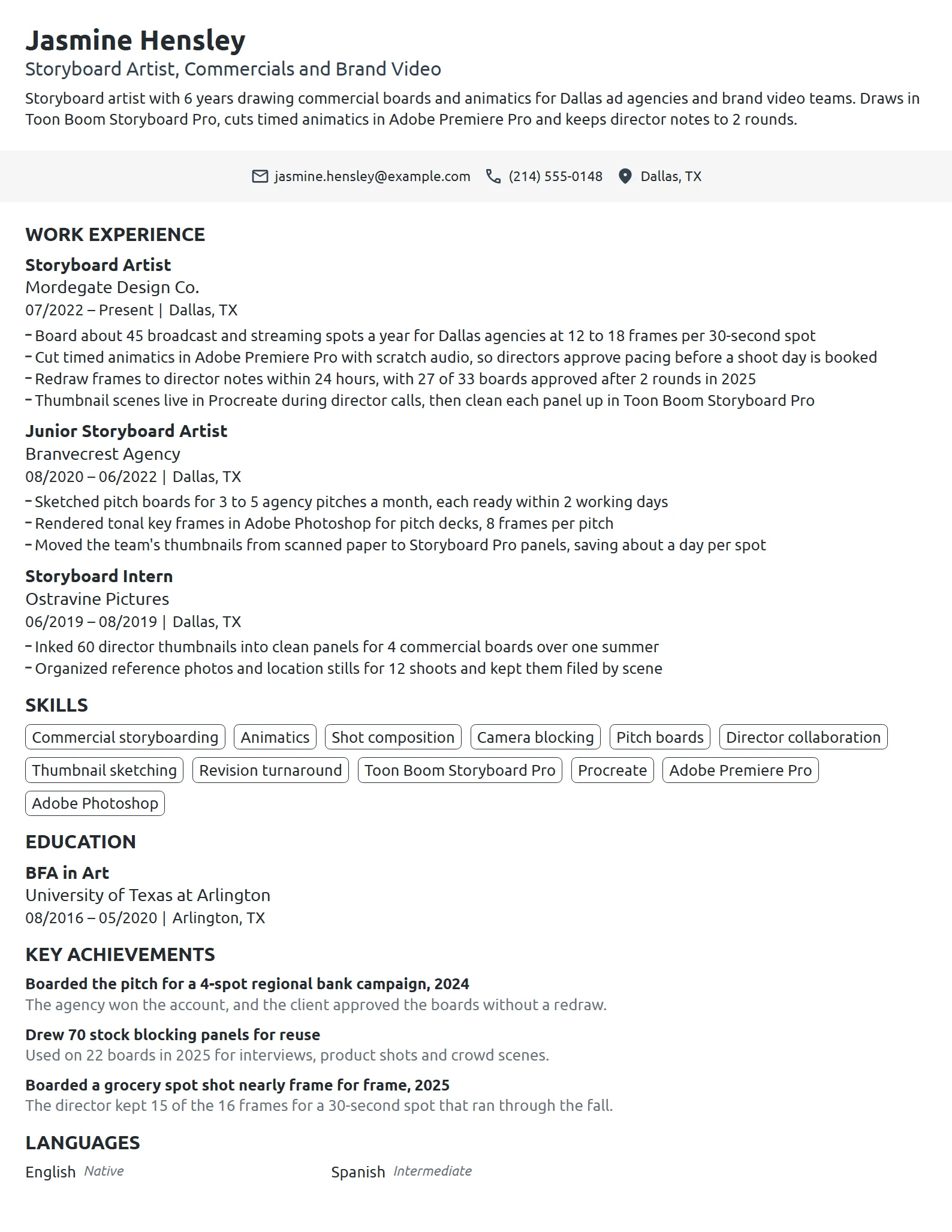 Storyboard Artist resume example