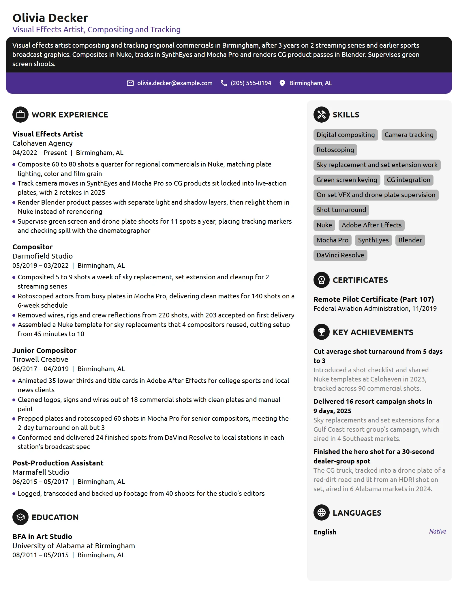 Visual Effects Artist resume example
