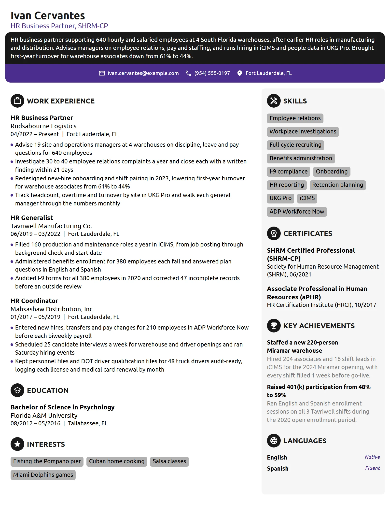 Professional resume example