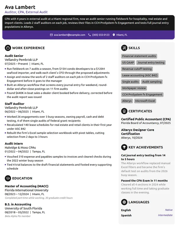 Auditor resume example