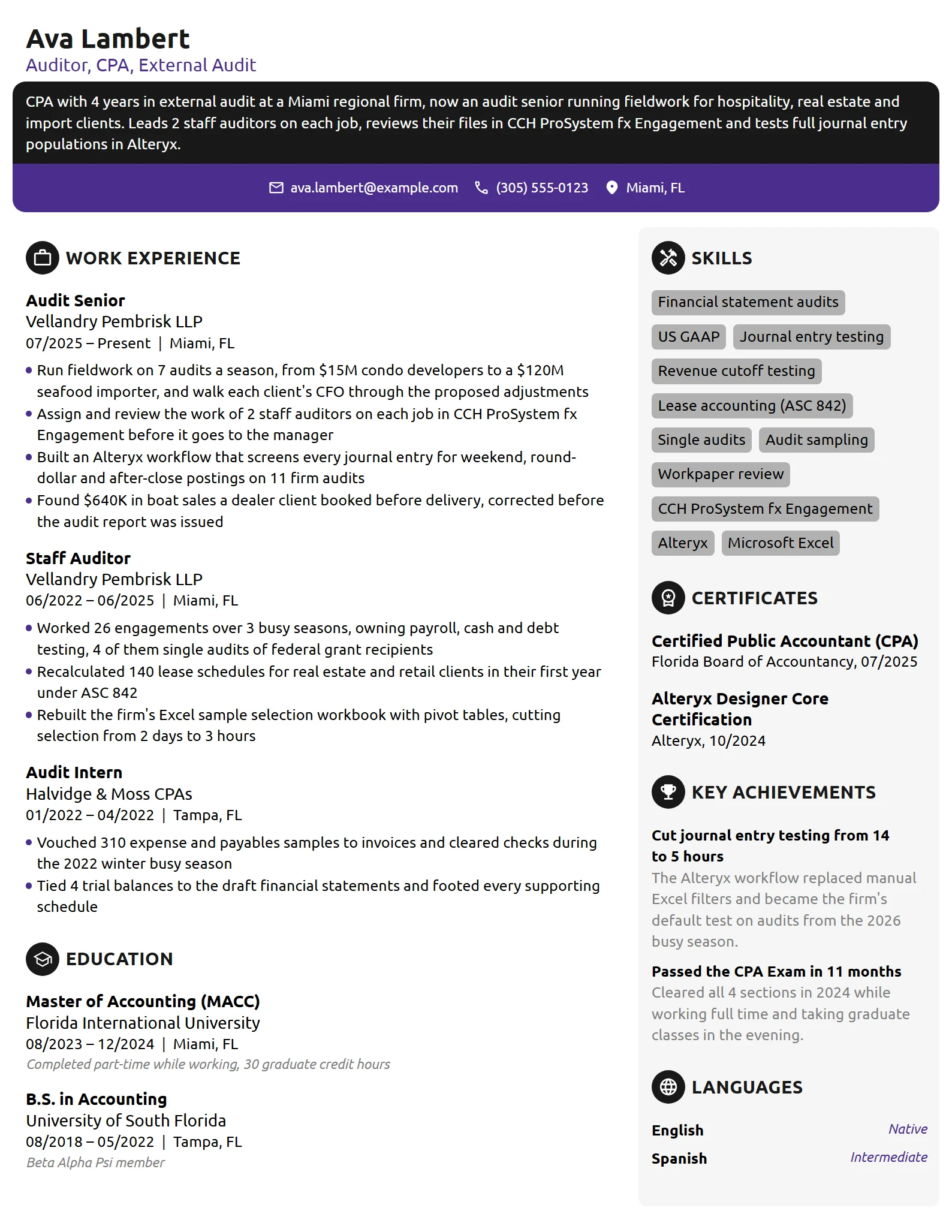 Auditor resume example