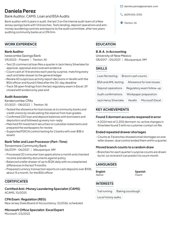 Bank Auditor resume example