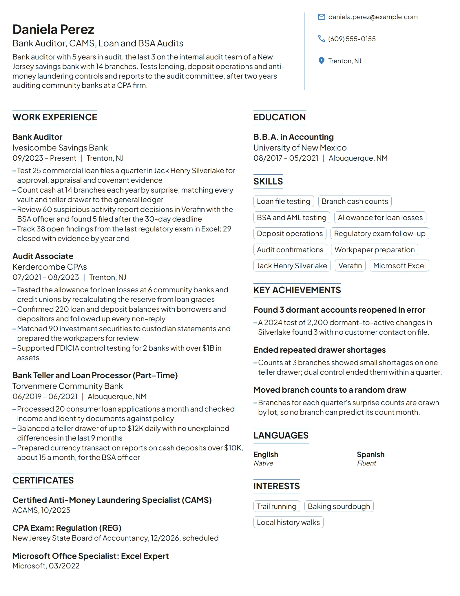 Bank Auditor resume example