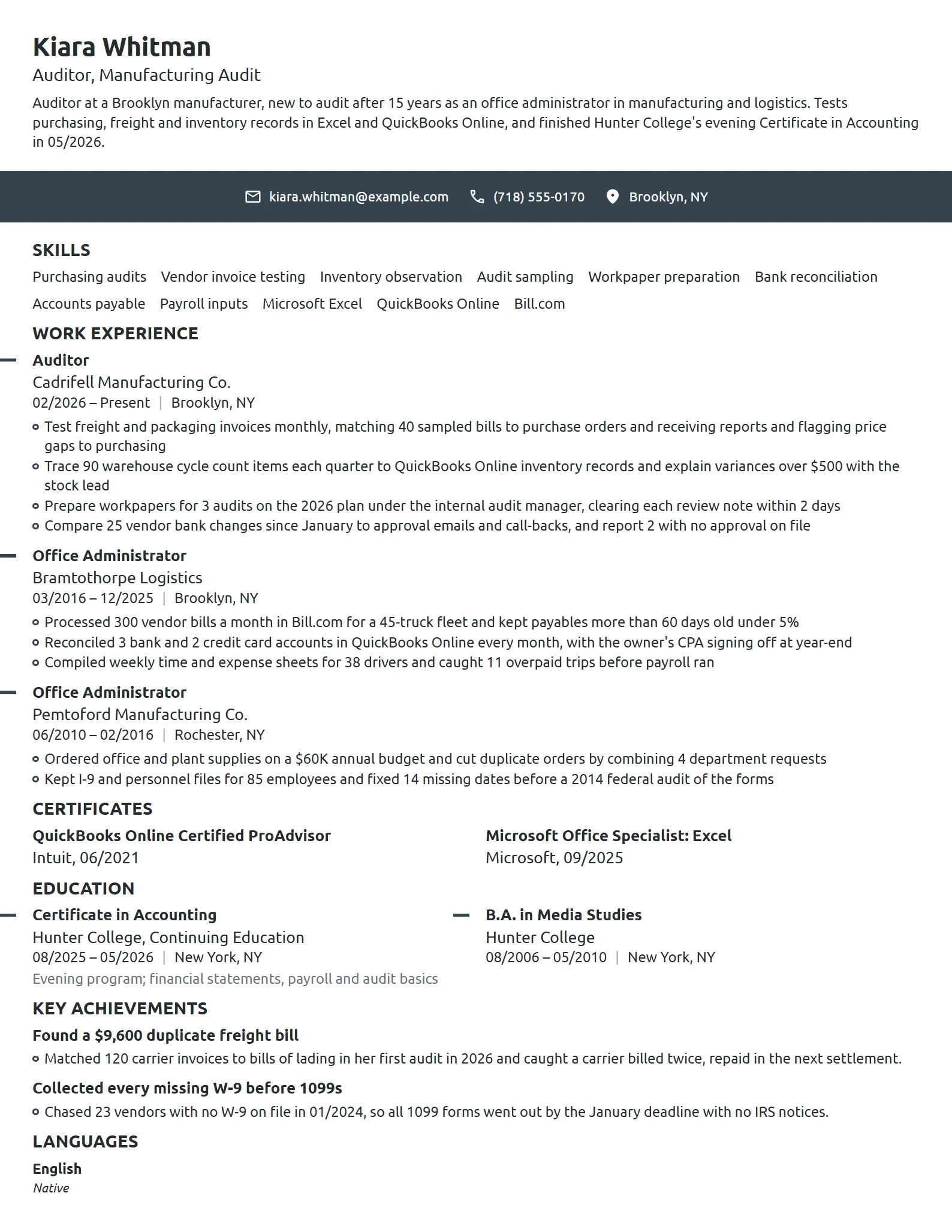Career Change Auditor resume example