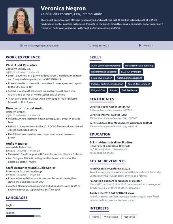 Chief Audit Executive resume example