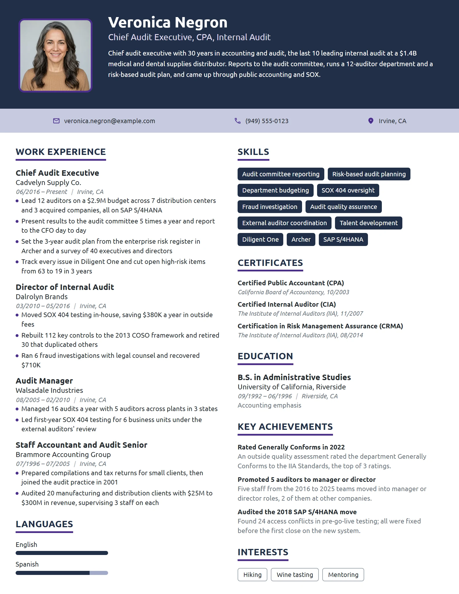 Chief Audit Executive resume example