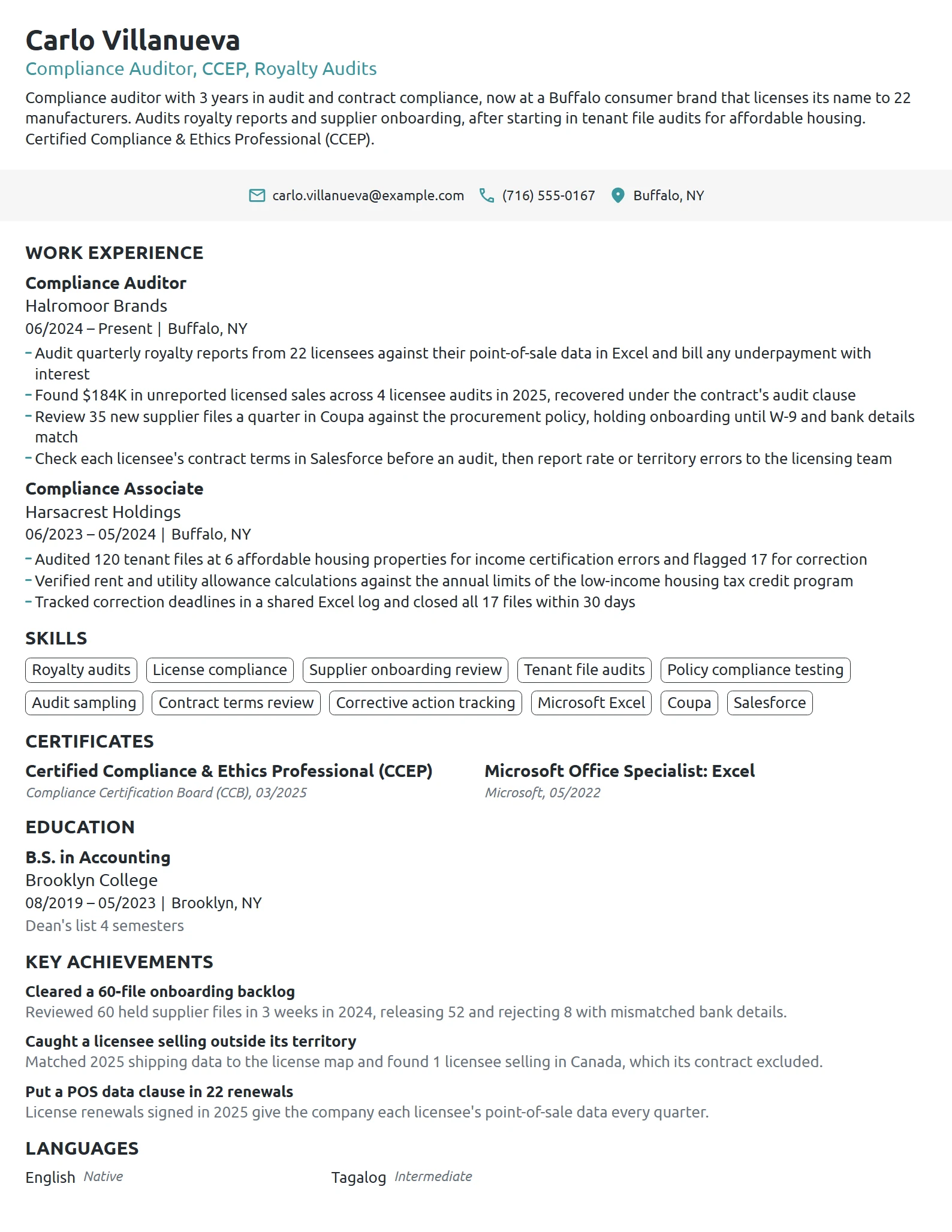 Compliance Auditor resume example