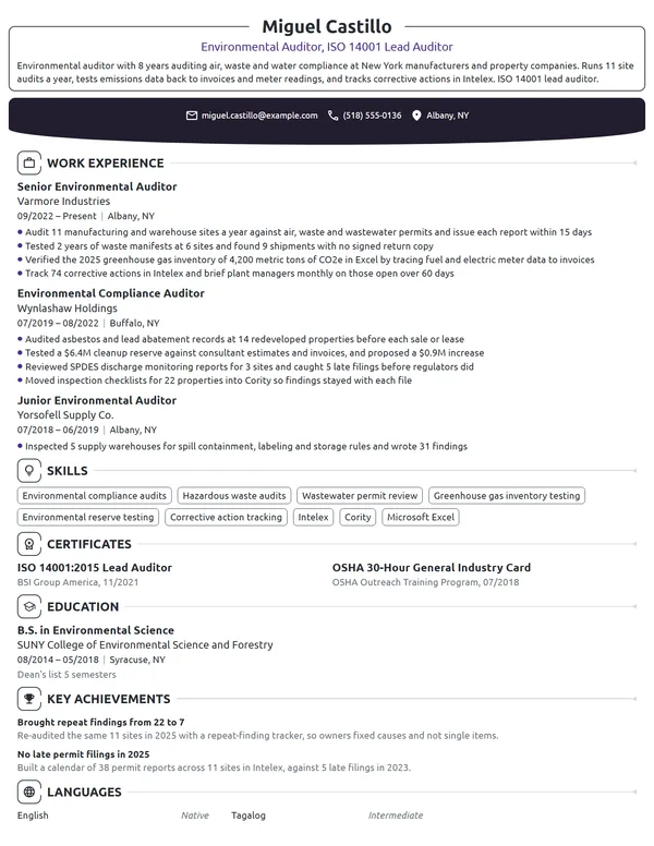 Environmental Auditor resume example