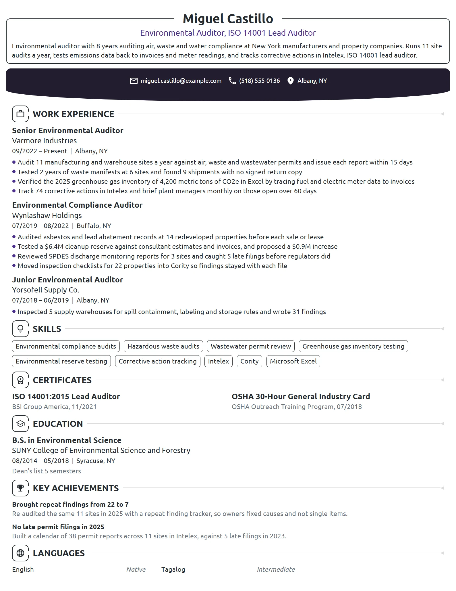 Environmental Auditor resume example
