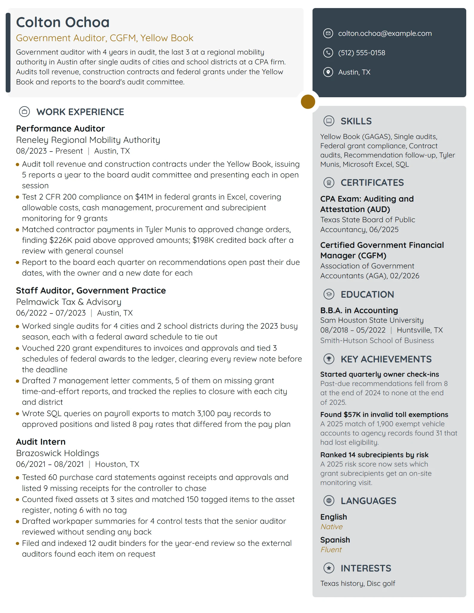 Government Auditor resume example