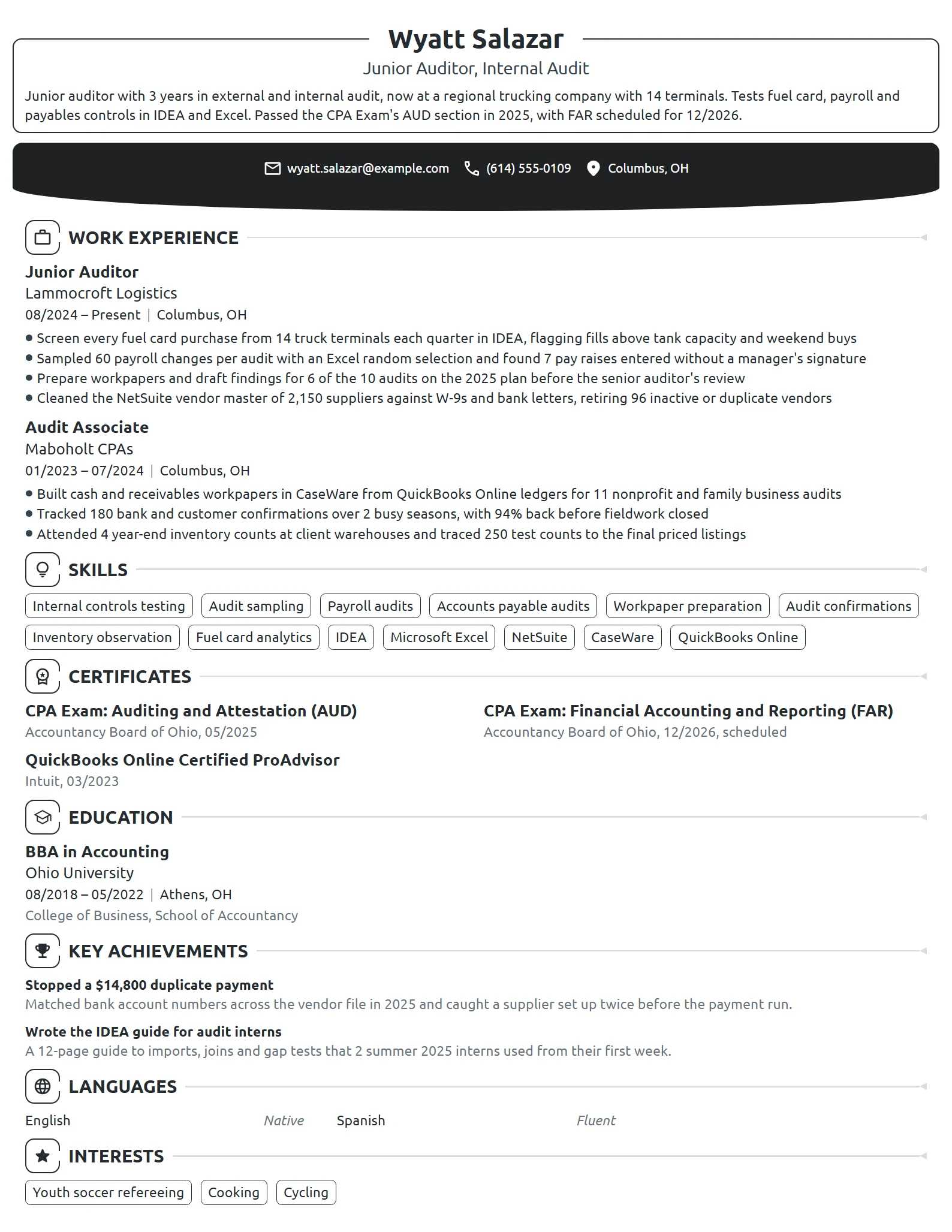Junior Auditor resume example