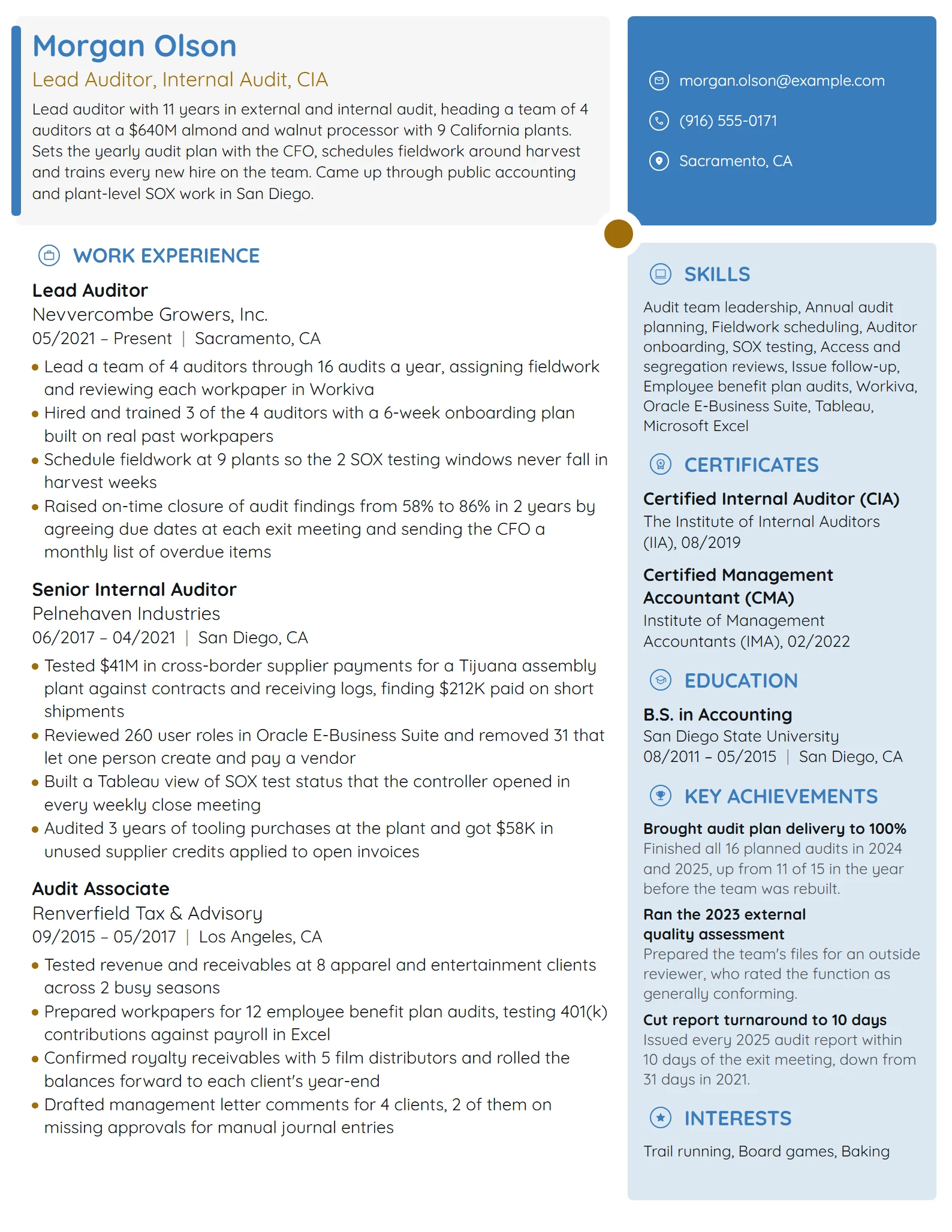 Lead Auditor resume example