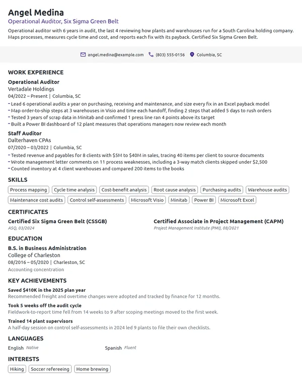 Operational Auditor resume example