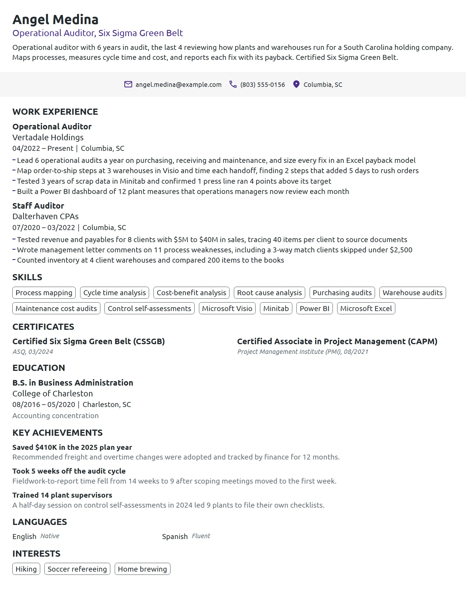 Operational Auditor resume example