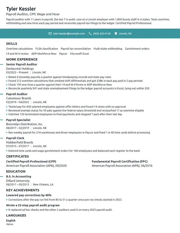 Payroll Auditor resume example