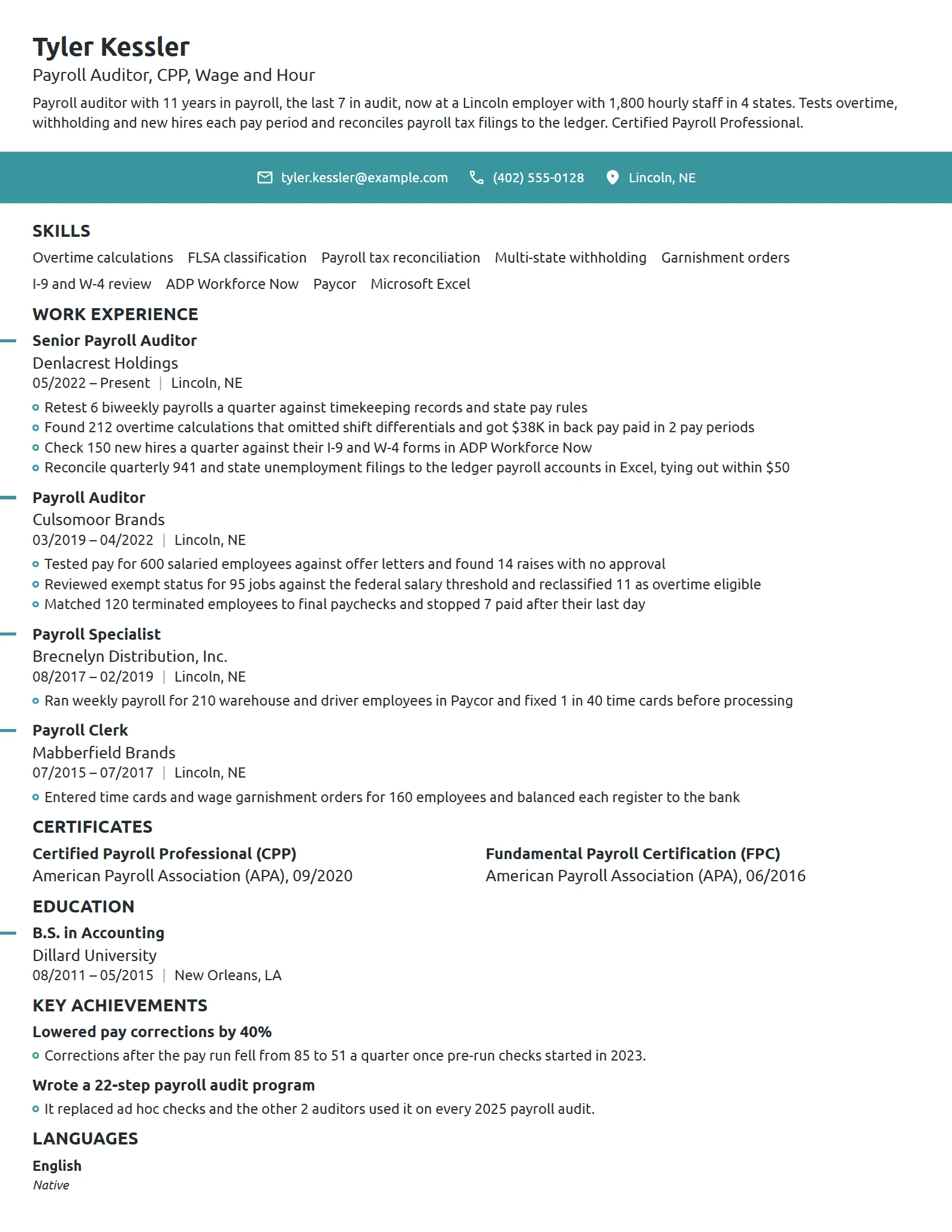 Payroll Auditor resume example