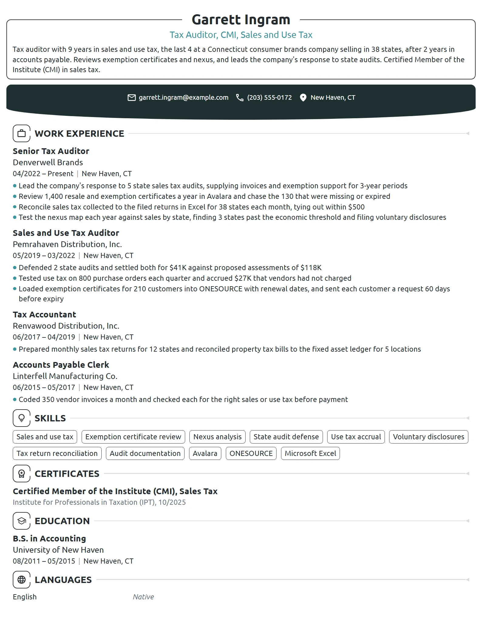 Tax Auditor resume example