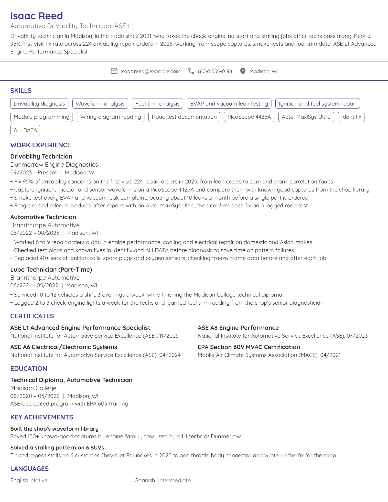 Automotive Drivability Technician resume example