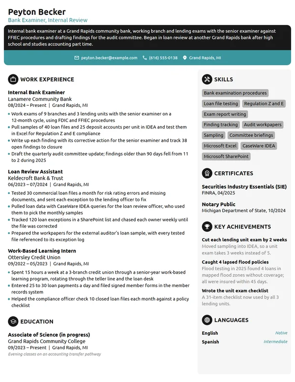 Bank Examiner resume example