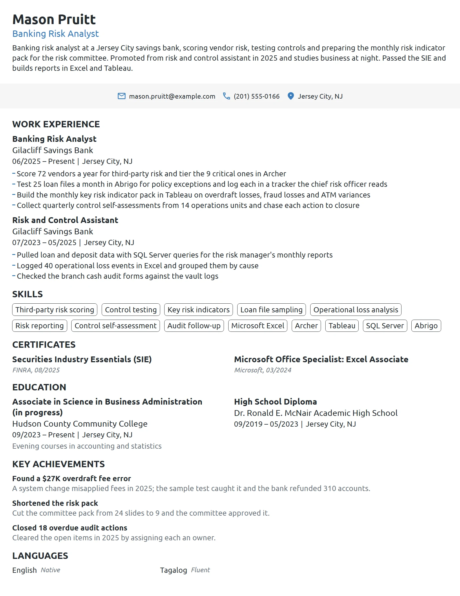 Banking Risk Analyst resume example