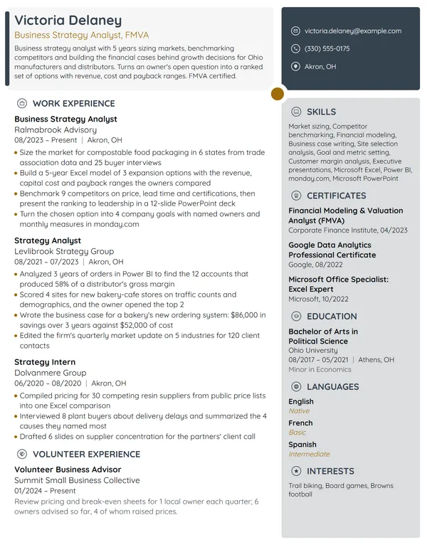Business Strategy Analyst resume example