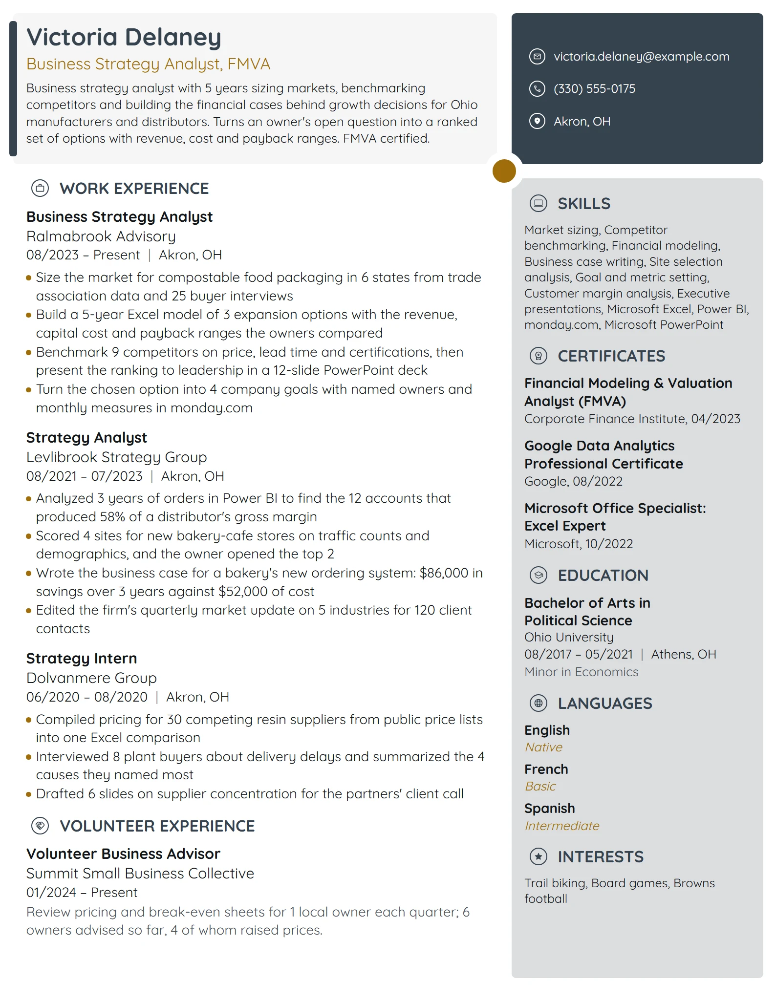 Business Strategy Analyst resume example