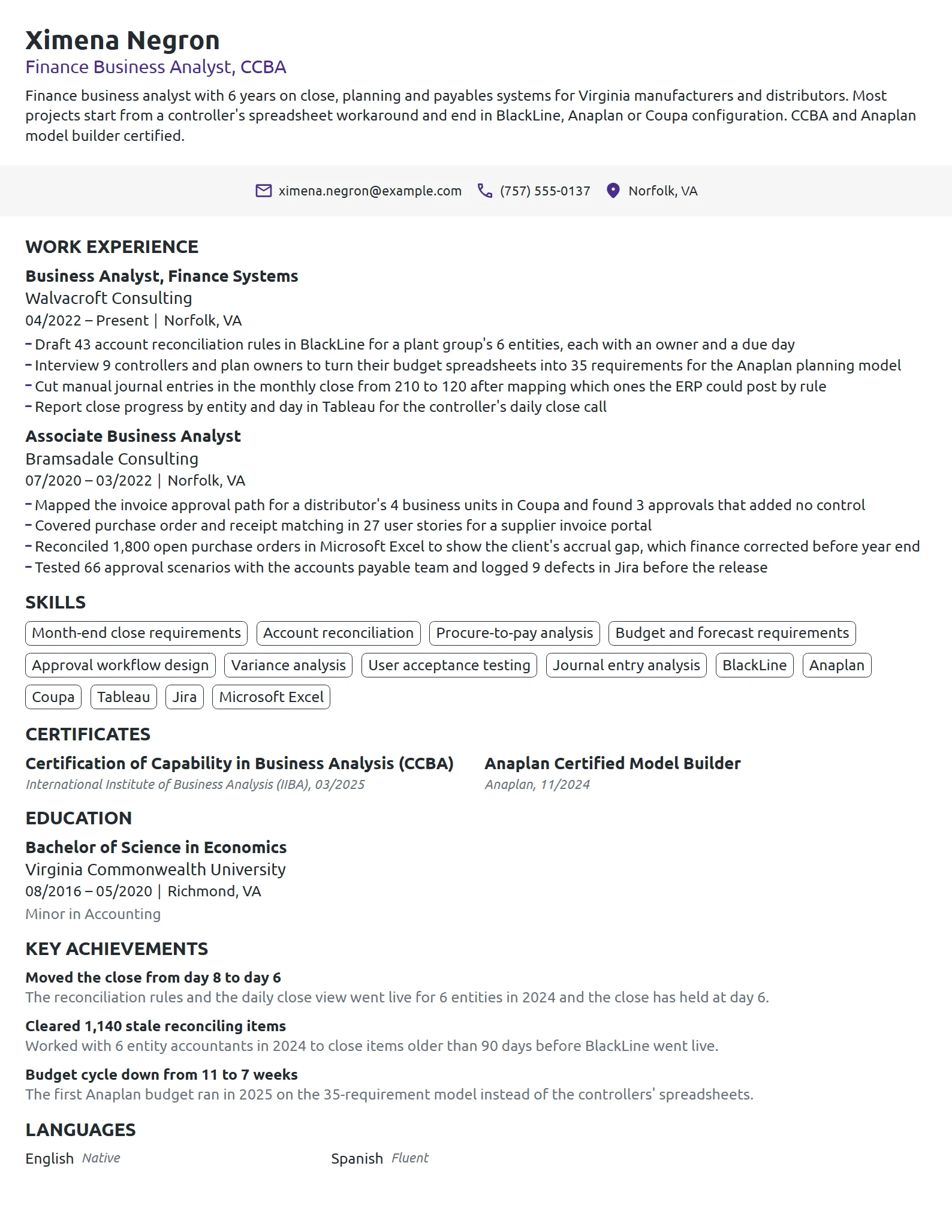 Finance Business Analyst resume example