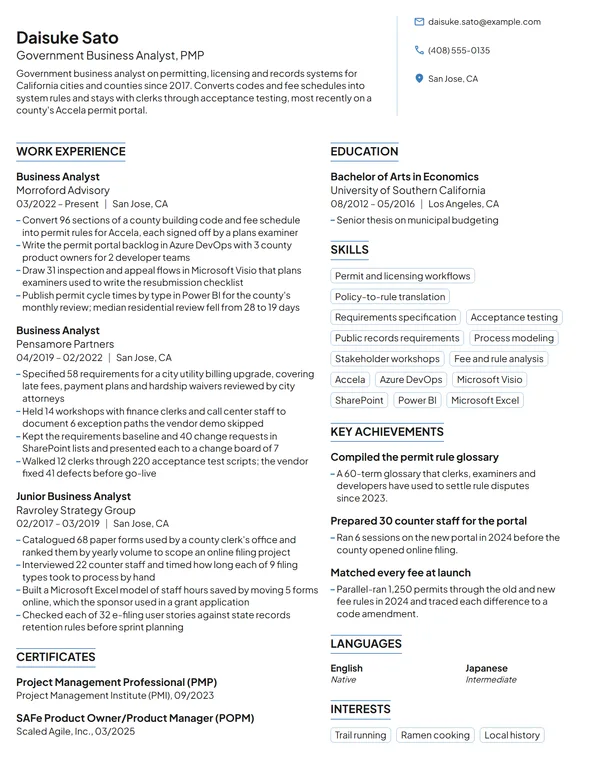 Government Business Analyst resume example